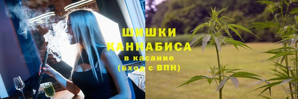 амф Бердск