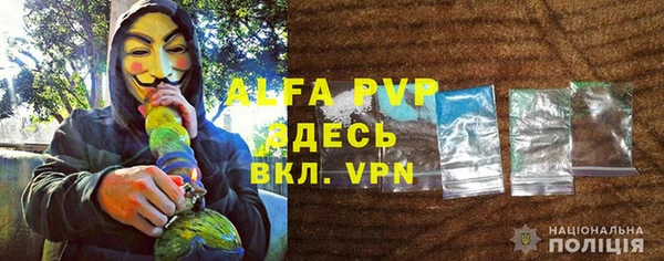 мескалин Пионерский