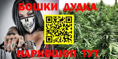 индика Волжск