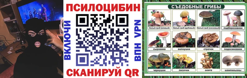 Псилоцибиновые грибы Magic Shrooms  Электрогорск 