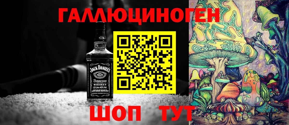 Псилоцибиновые грибы Psilocybine cubensis Электрогорск